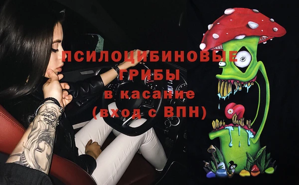 прущий лед Заводоуковск