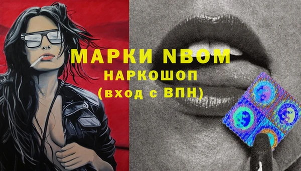 прущий лед Заводоуковск