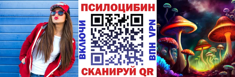 Псилоцибиновые грибы Psilocybe  Купить  Ленинградская 